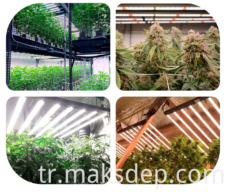 indoor greenhouse grow light